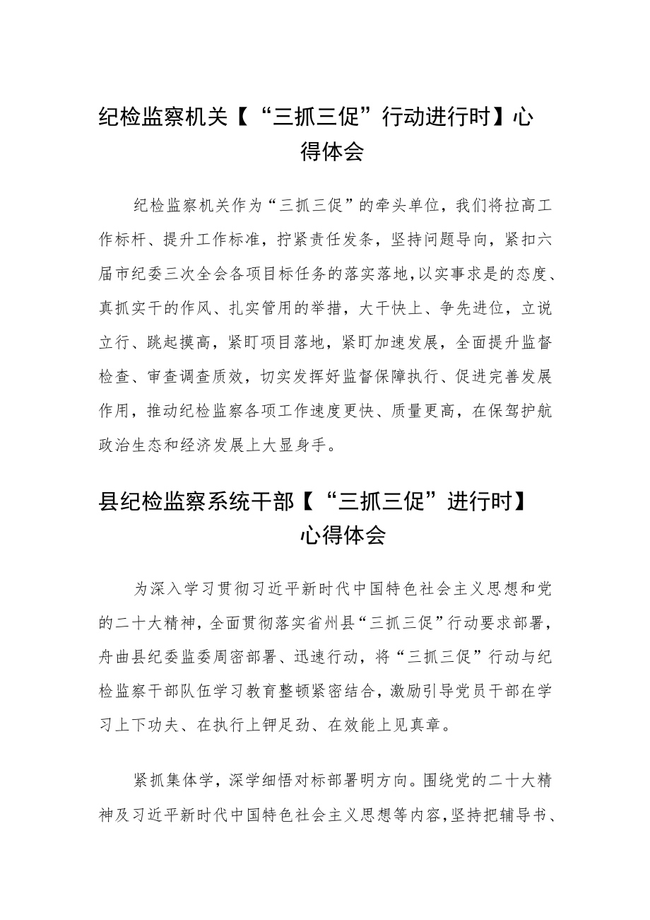 纪检监察机关【“三抓三促”行动进行时】心得体会3三篇通用范文.docx_第1页