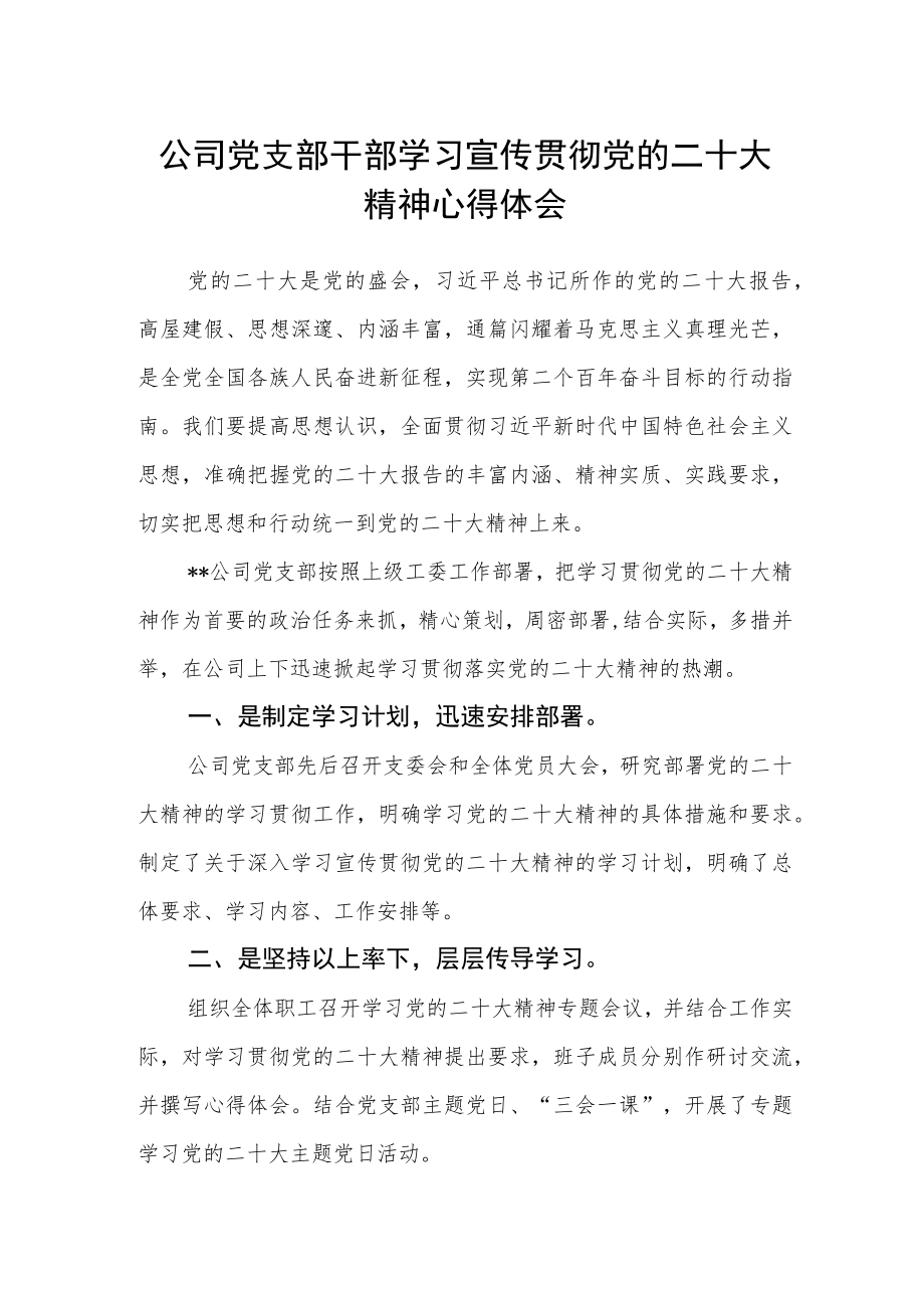 公司党支部干部学习宣传贯彻党的二十大精神心得体会.docx_第1页