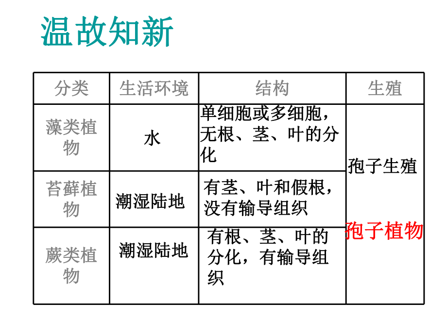 第二节种子植物 精品教育.ppt_第1页