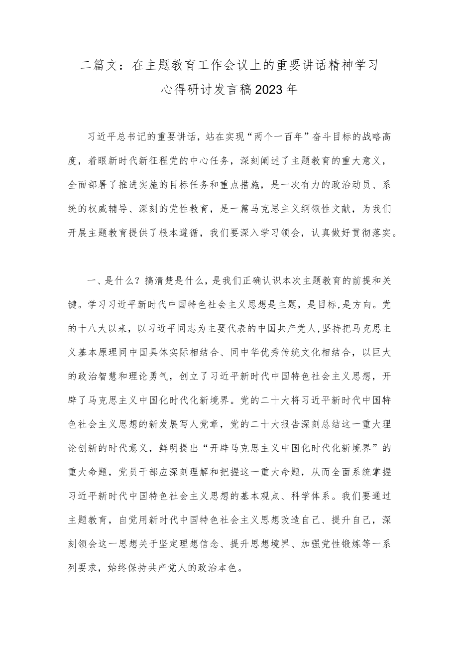 二篇文：在主题教育工作会议上的重要讲话精神学习心得研讨发言稿2023年.docx_第1页