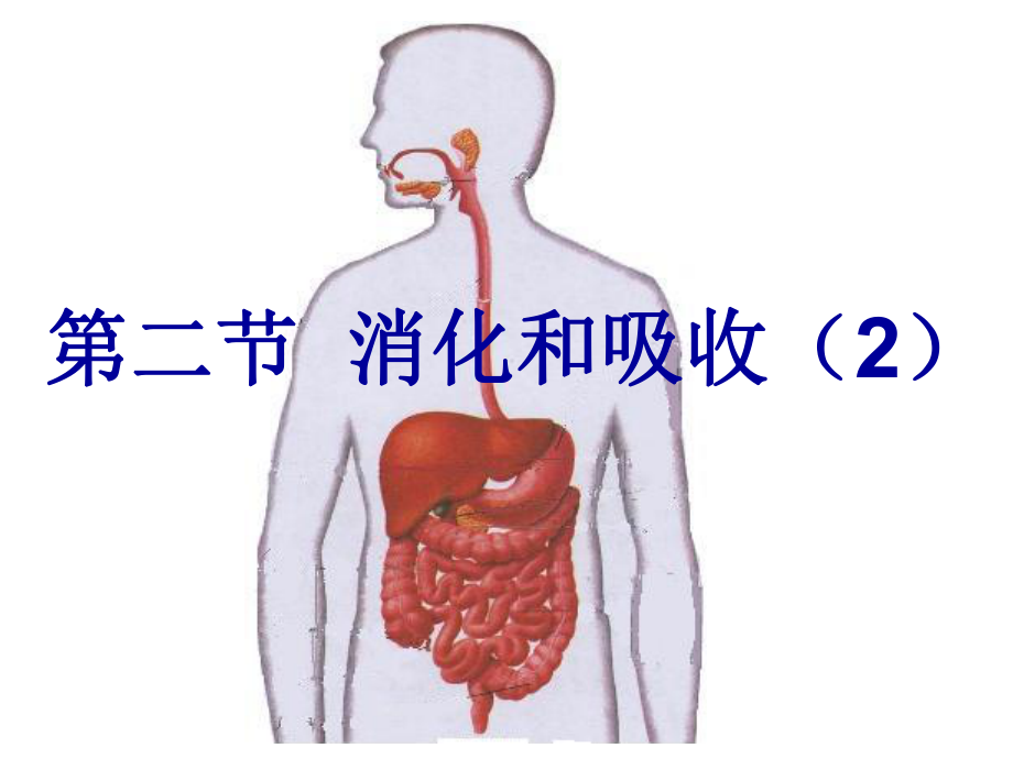 第二节消化和吸收精品教育.ppt_第1页