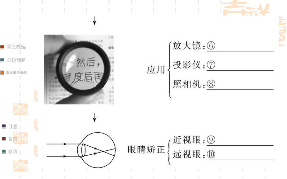 第五章复习叶公中学安艳芳精品教育.ppt_第3页