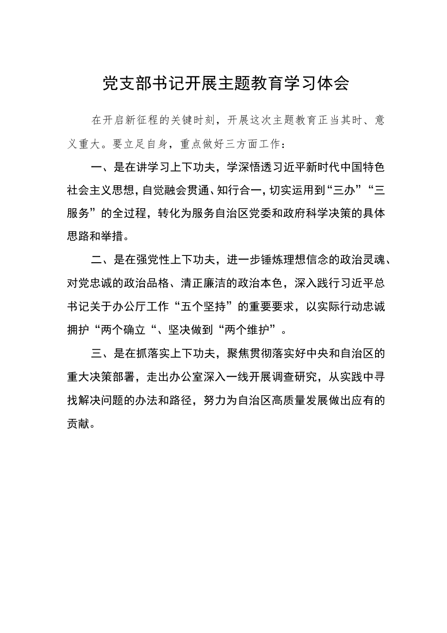 党支部书记开展主题教育学习体会.docx_第1页