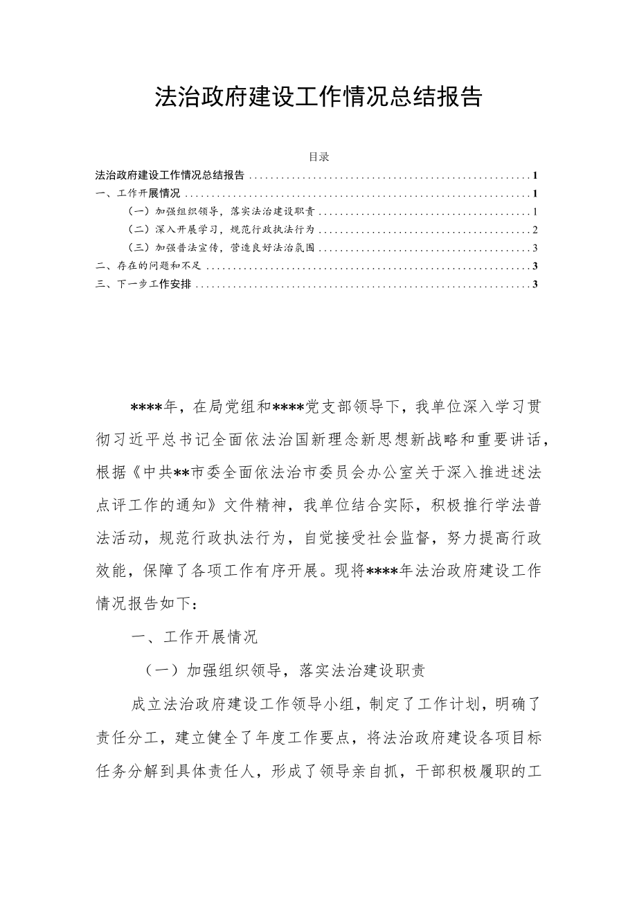 法治政府建设工作情况总结报告.docx_第1页