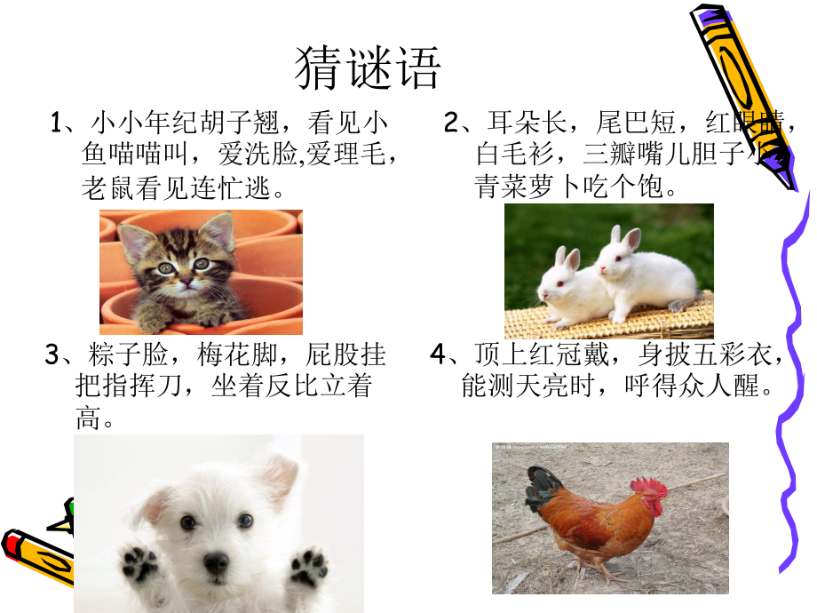 第四单元作文——我喜欢的小动物课件精品教育.ppt_第2页