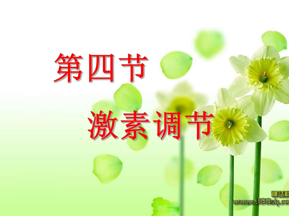 第四节激素调节肖鹏精品教育.ppt_第3页