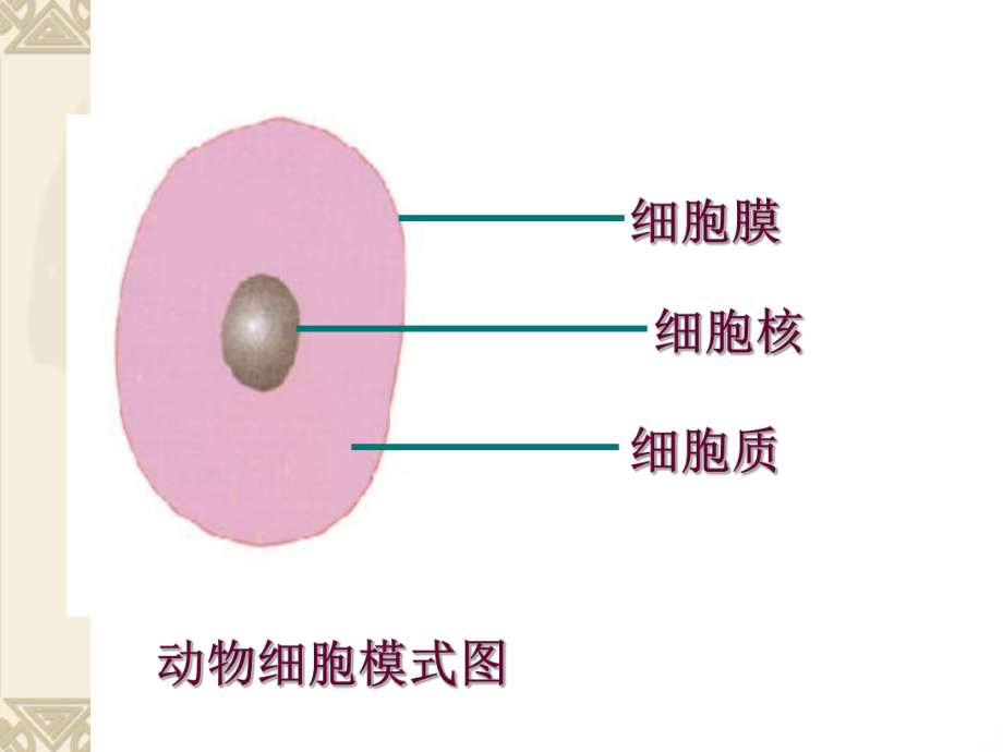 第四节细胞的生活精品教育.ppt_第2页