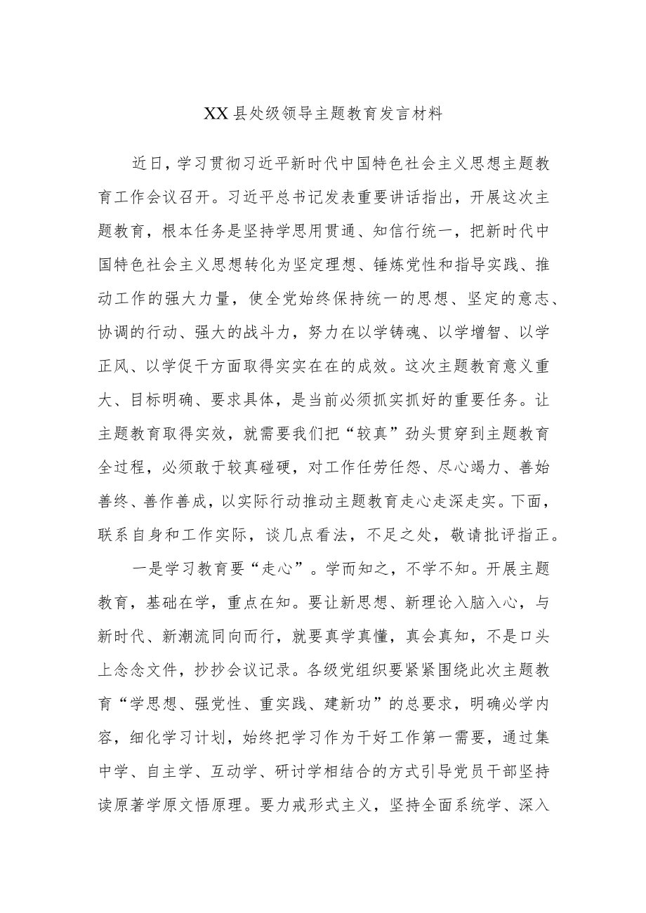 XX县处级领导主题教育发言材料.docx_第1页