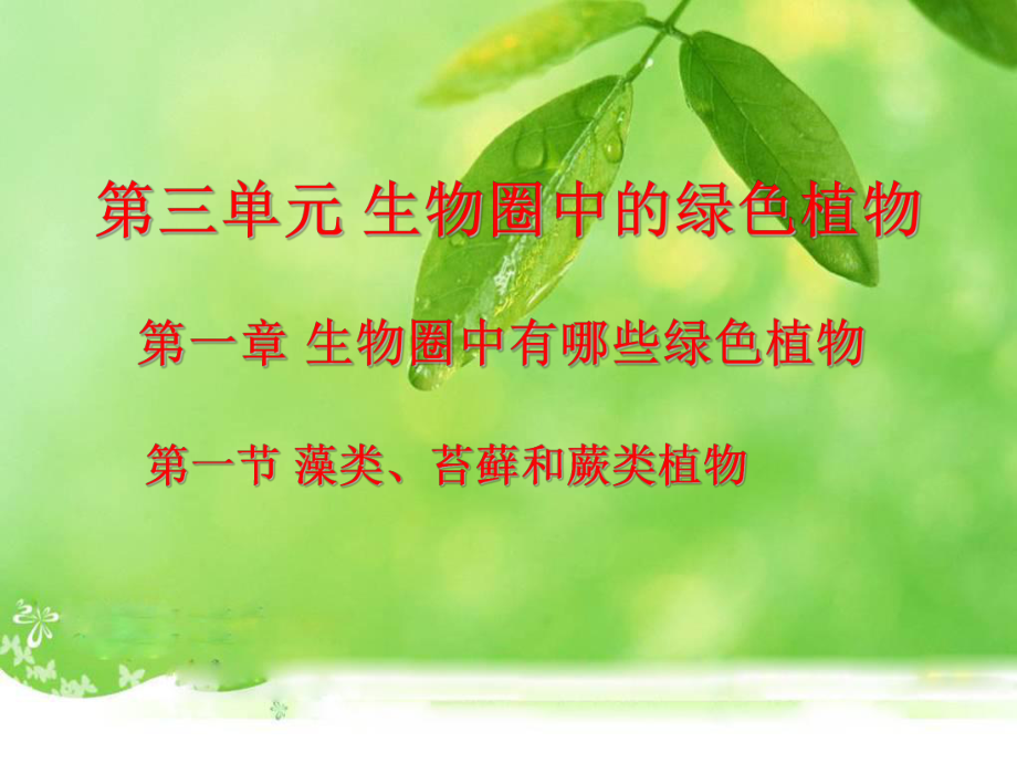 课件藻类苔藓和蕨类植物精品教育.ppt_第1页