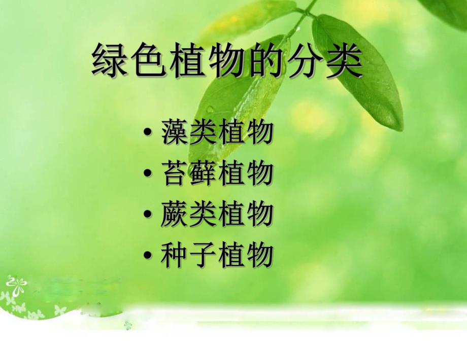 课件藻类苔藓和蕨类植物精品教育.ppt_第2页