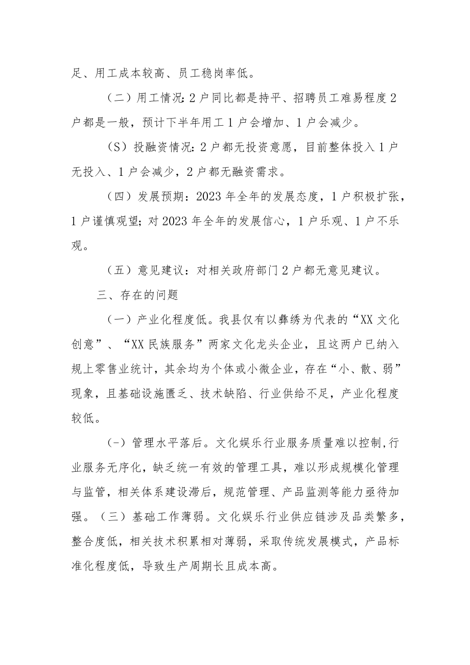 XX县文化体育娱乐业发展情况调研报告.docx_第2页