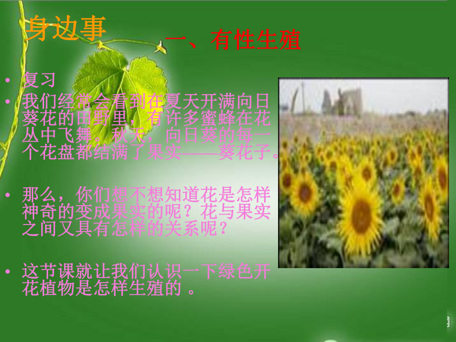 课件绿色开花植物的生殖精品教育.ppt_第3页