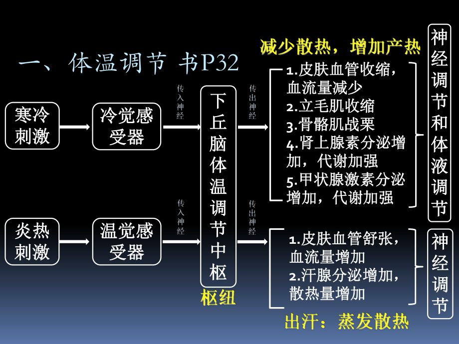 神经体液调节的实例.ppt_第2页