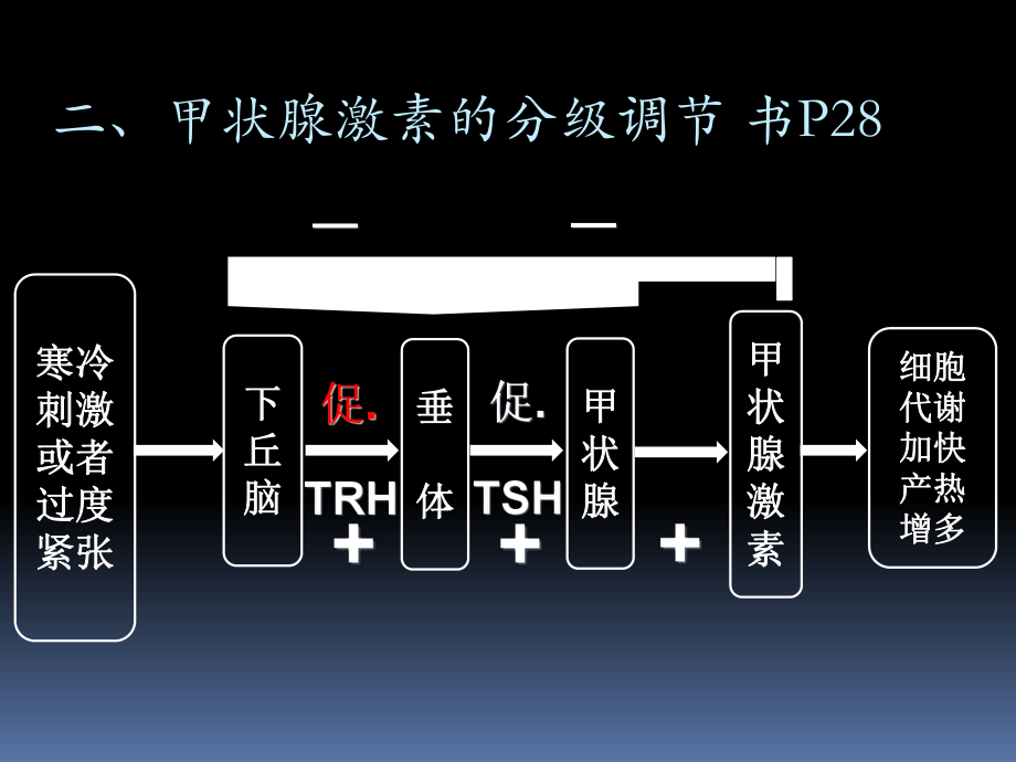 神经体液调节的实例.ppt_第3页