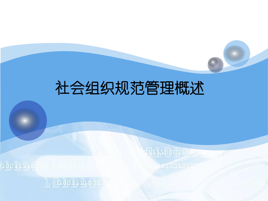 社会组织规范管理概述.ppt_第1页