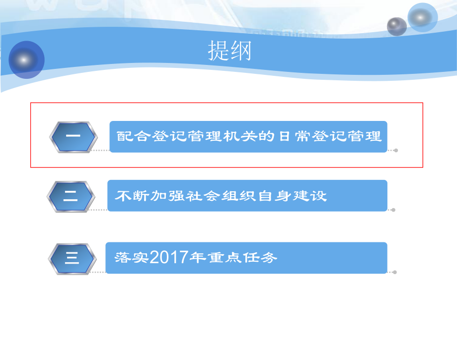 社会组织规范管理概述.ppt_第2页