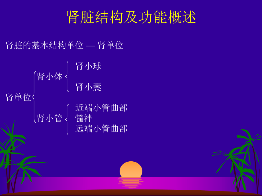 肾小管功能测定及临床意义.ppt_第2页