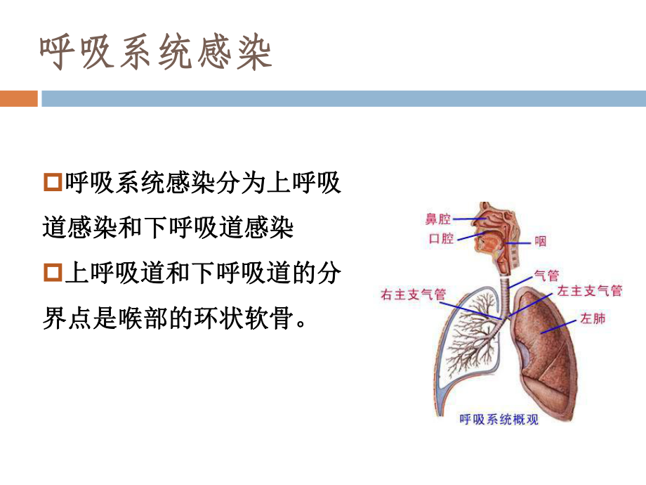 社区获得性肺炎(cap)严重度评价及抗生素的使用.ppt_第3页