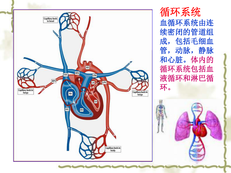 身体素质与健康教育第六章.ppt_第3页