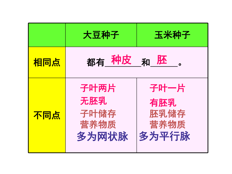 课件第一节种子的萌发精品教育.ppt_第3页