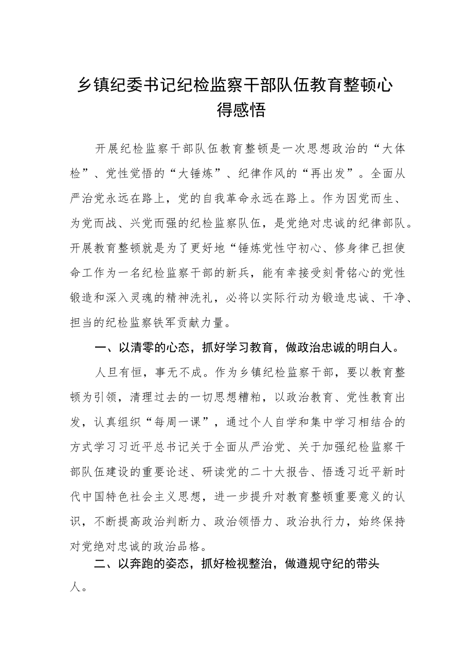 2023乡镇纪委书记纪检监察干部队伍教育整顿心得感悟（参考范文三篇）.docx_第1页