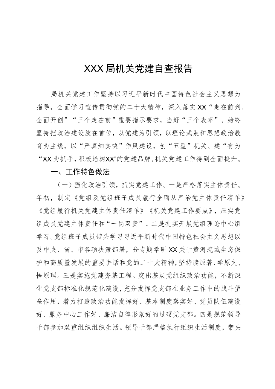 XX机关党建自查报告0113.docx_第1页