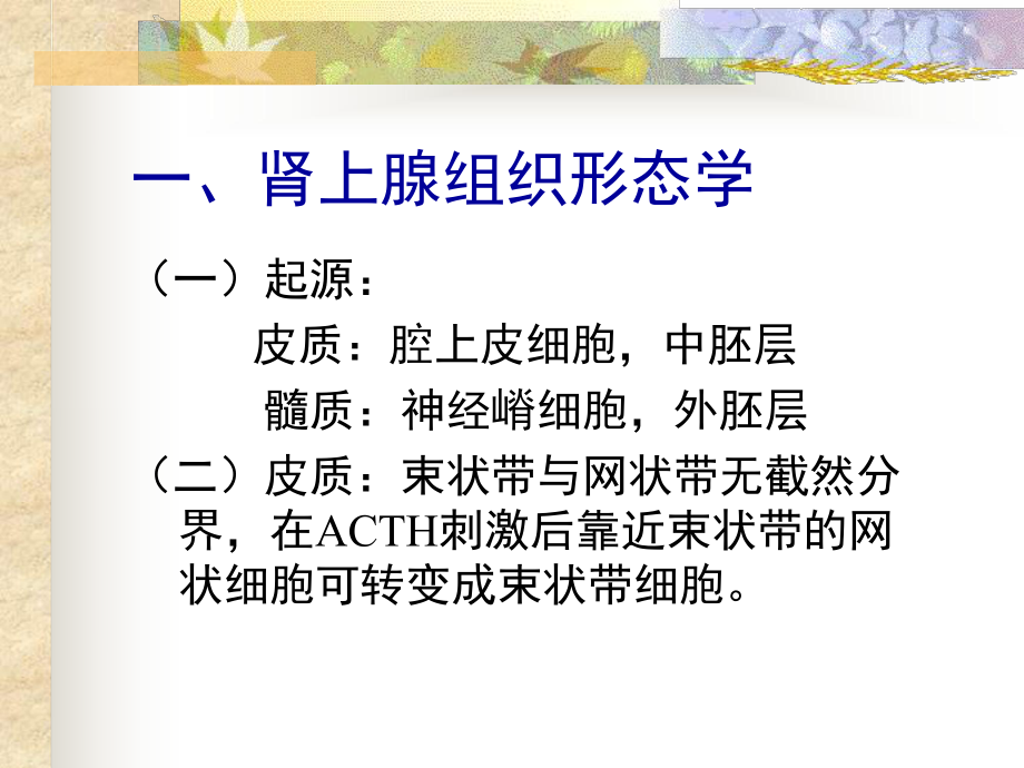 肾上腺疾病.ppt_第2页