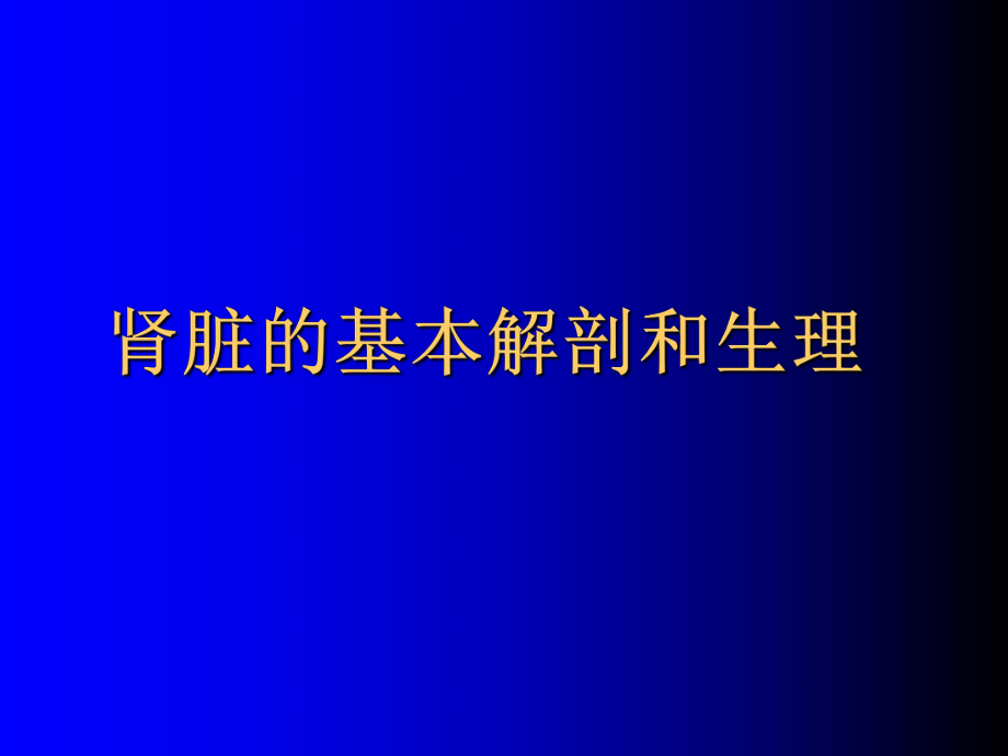 肾解剖生理本.ppt_第1页