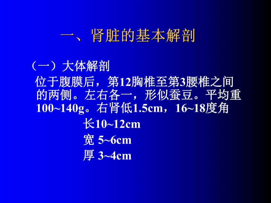 肾解剖生理本.ppt_第2页