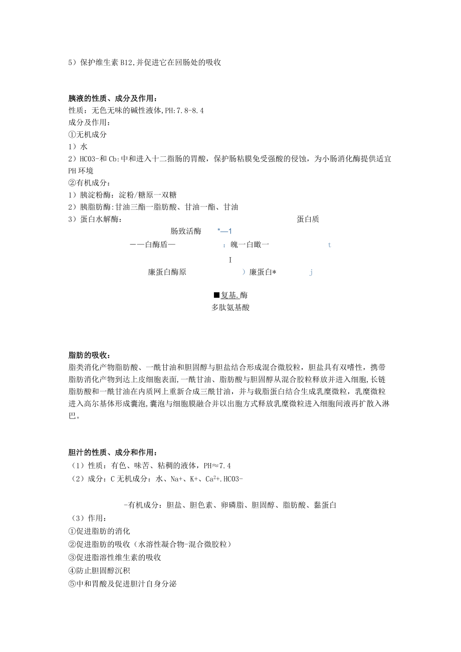 生理学第六章 消化和吸收重点知识总结.docx_第2页