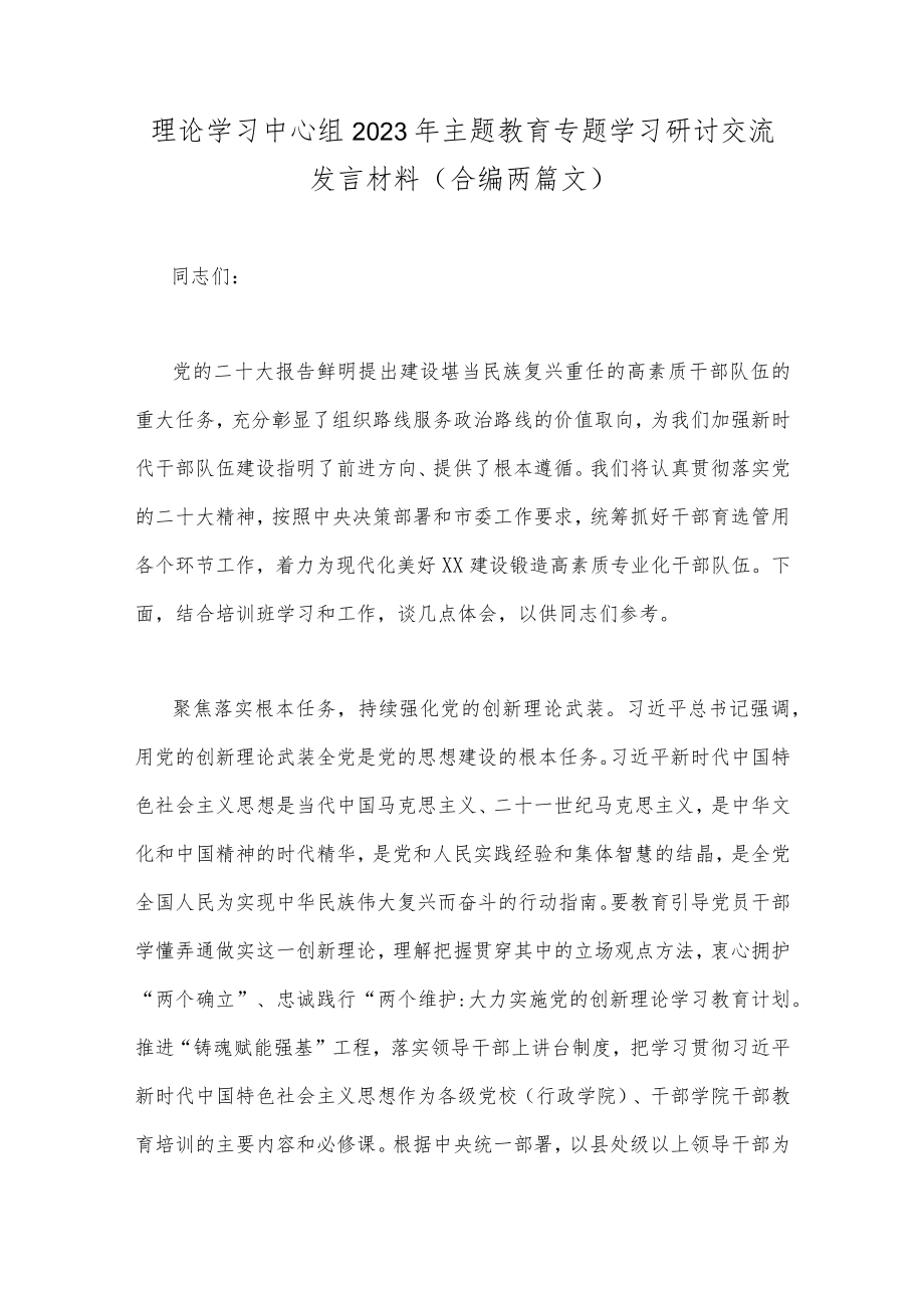 理论学习中心组2023年主题教育专题学习研讨交流发言材料（合编两篇文）.docx_第1页