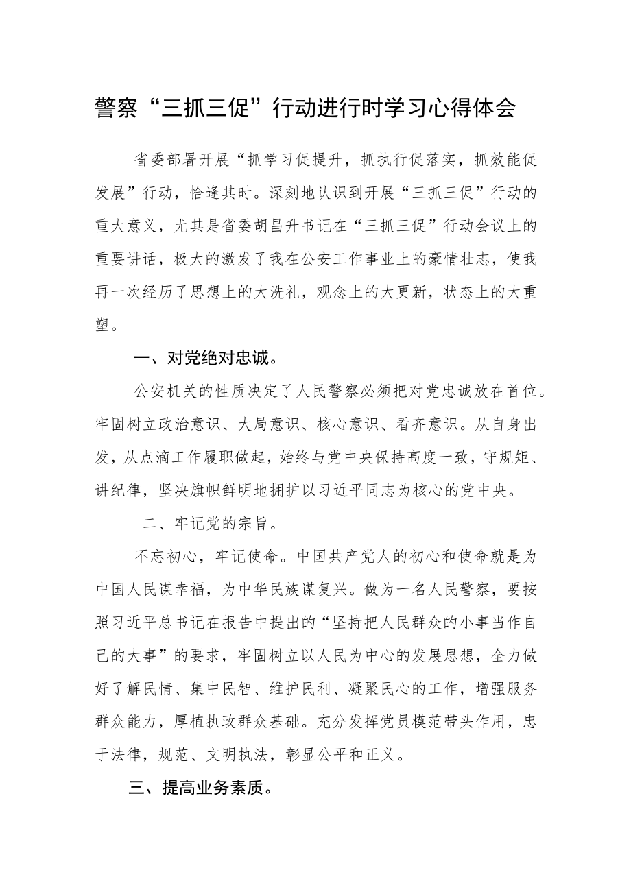 警察“三抓三促”行动进行时学习心得体会.docx_第1页