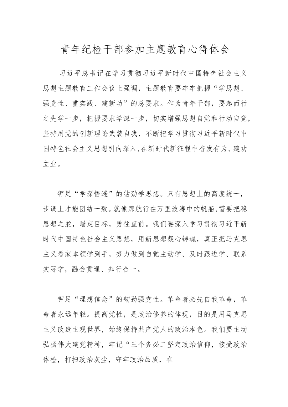 青年纪检干部参加主题教育心得体会.docx_第1页