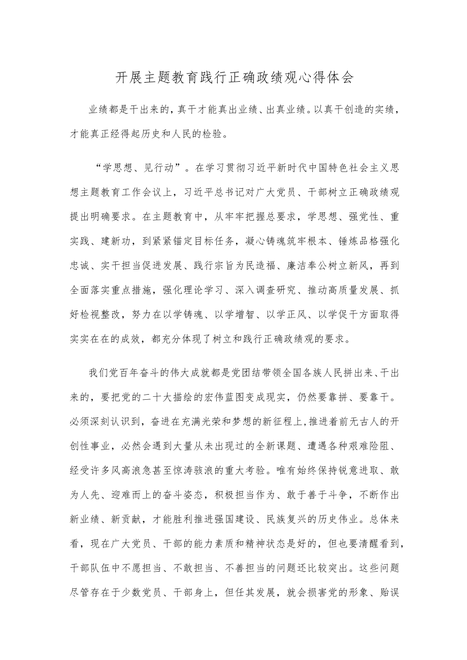 开展主题教育践行正确政绩观心得体会.docx_第1页