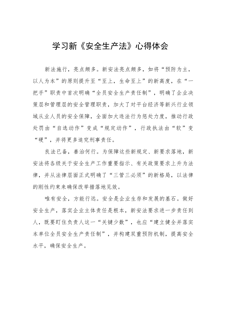 公司学习新《安全生产法》学习心得十篇样本.docx_第1页