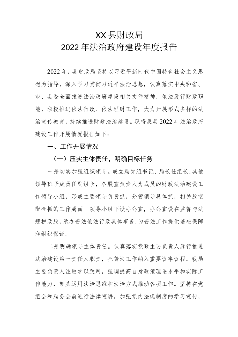 XX县财政局2022年法治政府建设年度报告.docx_第1页