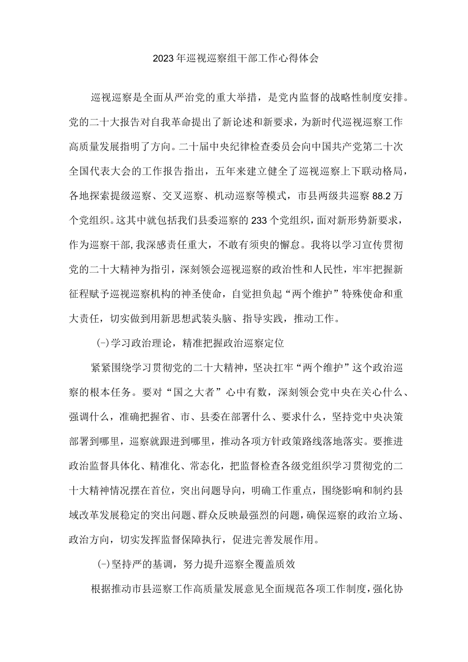 2023年县纪检巡察组巡检工作个人心得体会 （合计8份）.docx_第2页