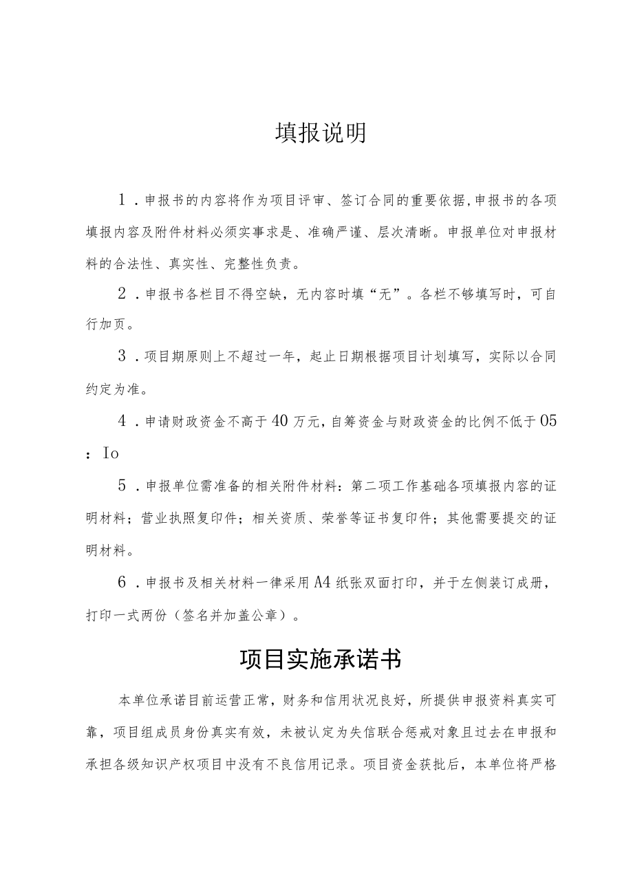 上海2023年园区知识产权集中托管项目申报书、评审标准.docx_第2页