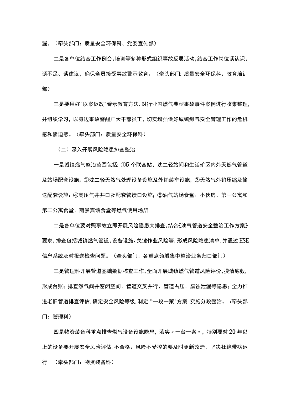 公司城镇燃气安全专项整治实施方案.docx_第3页