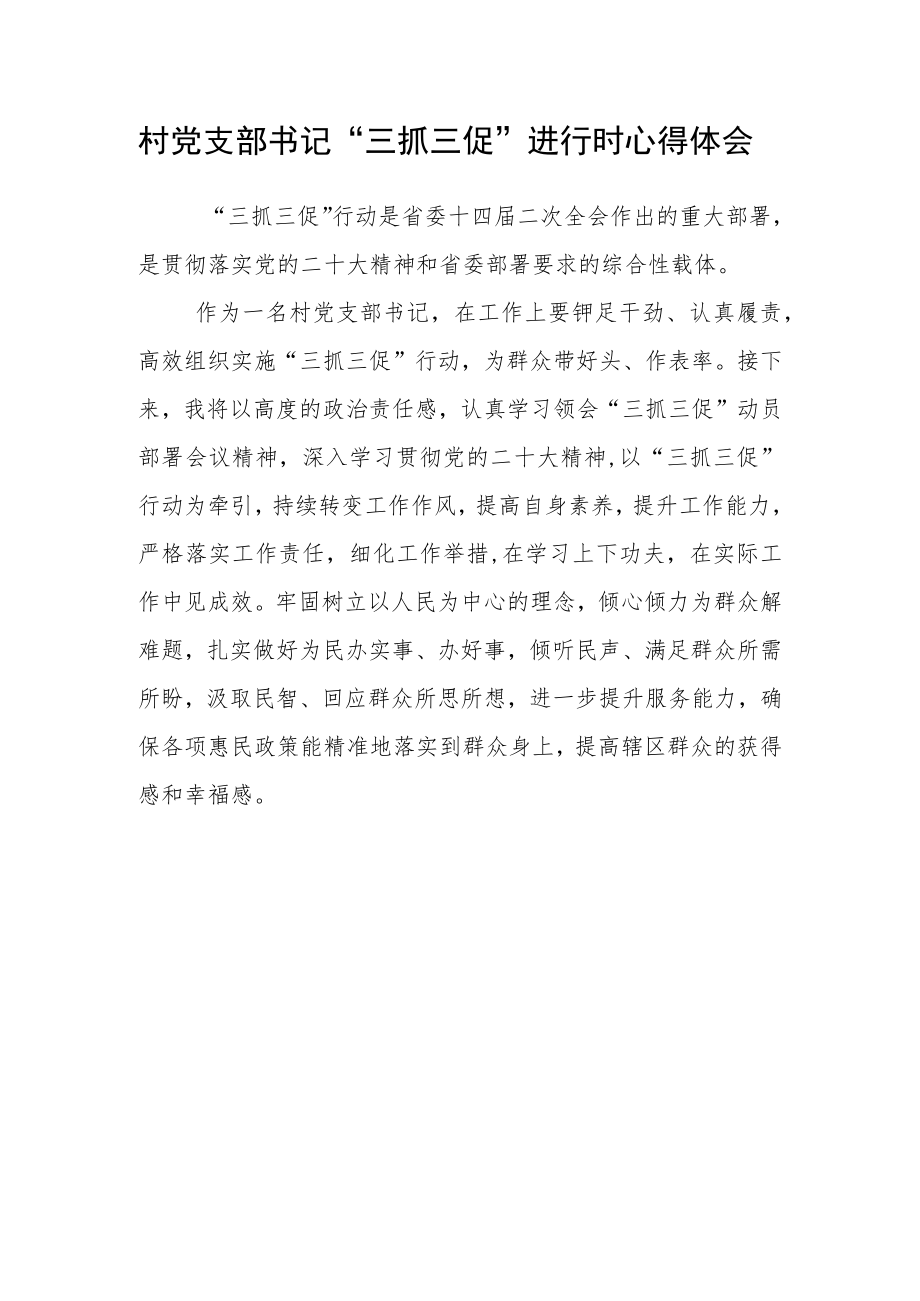 村党支部书记【“三抓三促”进行时】心得体会感悟范文(3篇).docx_第2页