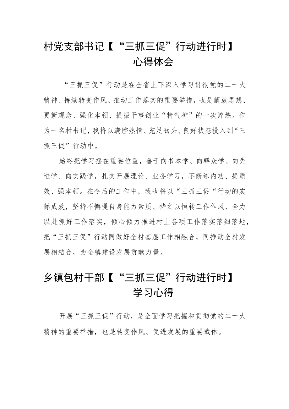 村党支部书记【“三抓三促”行动进行时】心得体会范文(3篇).docx_第1页