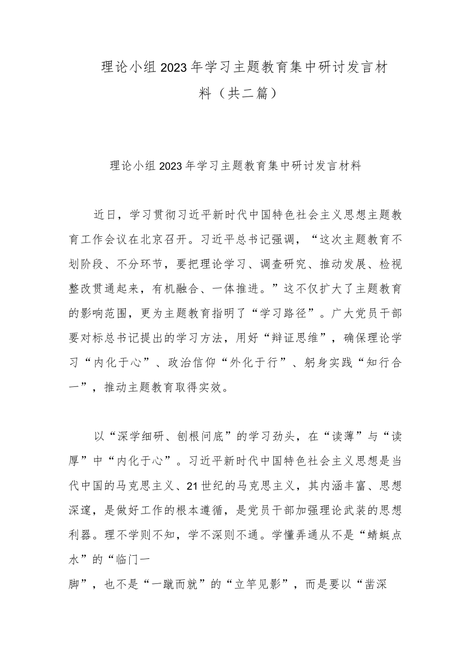 理论小组2023年学习主题教育集中研讨发言材料(共二篇).docx_第1页