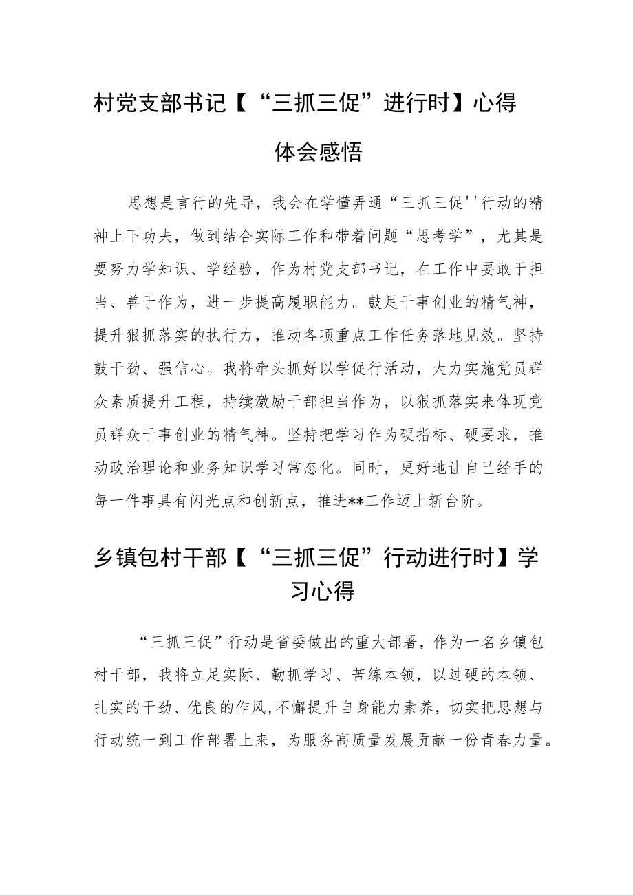 村党总支部书记【“三抓三促”行动进行时】心得体会范文(通用3篇).docx_第2页