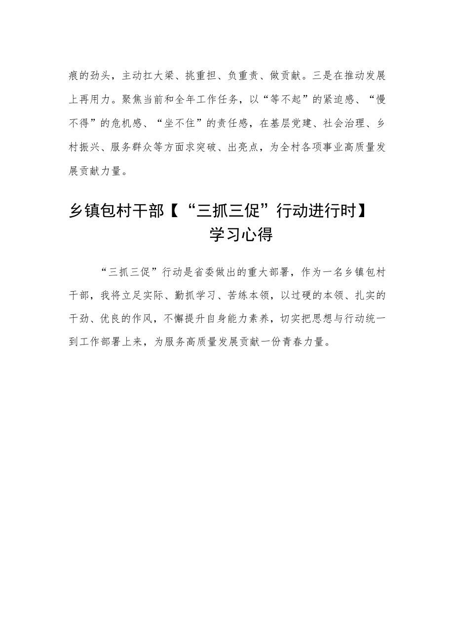 乡镇包村干部【“三抓三促”行动进行时】学习心得范文(3篇).docx_第2页