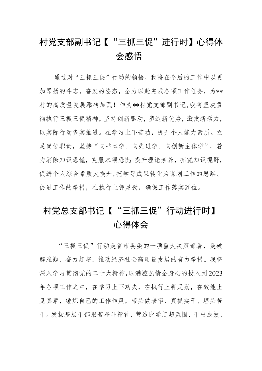 村党支部副书记【“三抓三促”进行时】心得体会感悟范文(3篇).docx_第1页