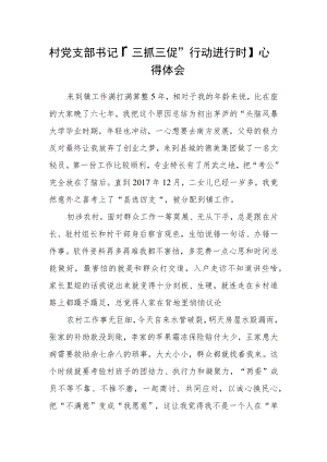 村党支部书记【“三抓三促”行动进行时】心得体会范文(通用3篇).docx