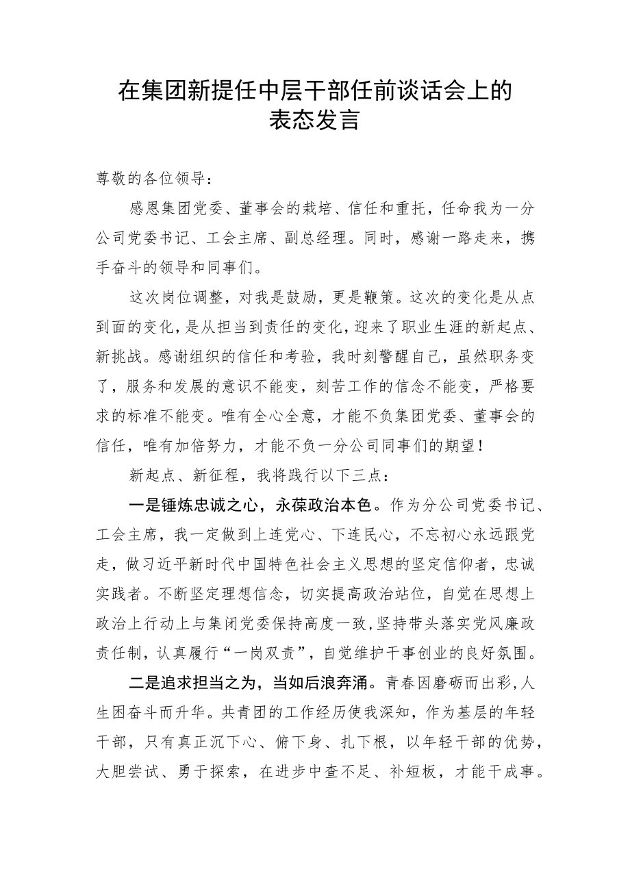 【国资国企】在集团新提任中层干部任前谈话会上的表态发言.docx_第1页