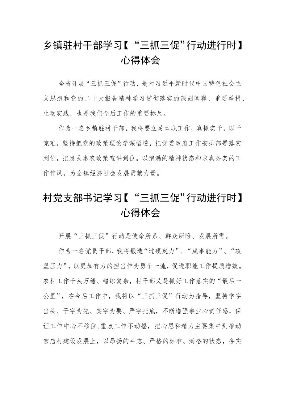 乡镇驻村干部学习【“三抓三促”行动进行时】心得体会范文(通用3篇).docx_第1页