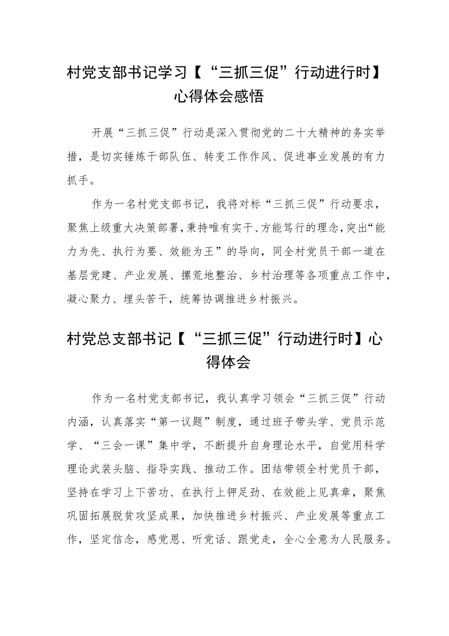 村党支部书记学习【“三抓三促”行动进行时】心得体会感悟样文范文(3篇).docx_第1页