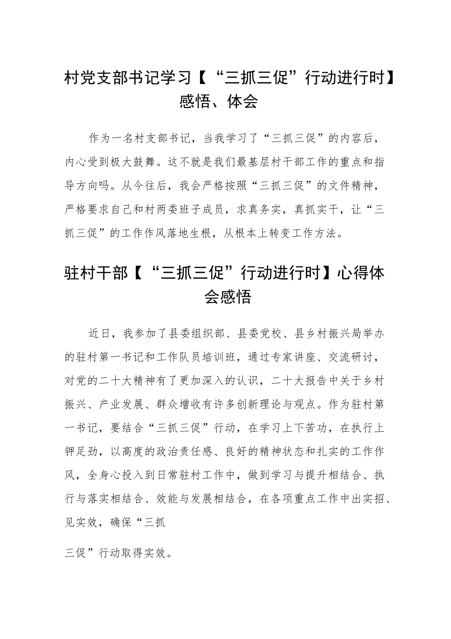 村党支部书记学习【“三抓三促”行动进行时】感悟、体会范文(通用3篇).docx_第1页